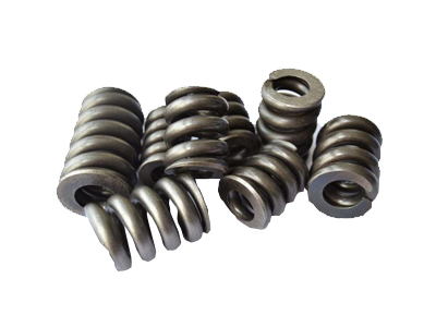Oil pump nozzle spring